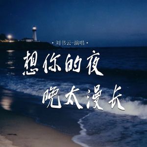 想你的夜晚太漫长