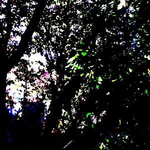 covid smacked me in the face half way making this