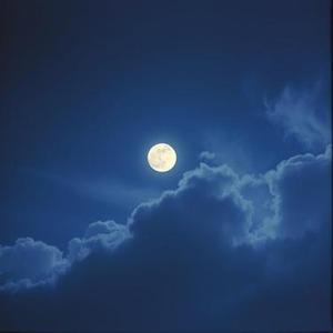 我在情感上的愚钝就像是门窗紧闭的屋子1.1x