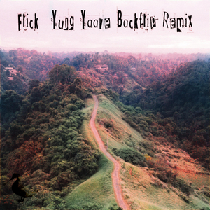 Flick (Yung Yaave Backflip Remix)