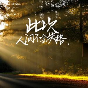 阿冗-此次人间不会失格（会长 / 沈文涛 remix） 伴奏