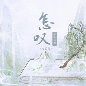 怎叹 (戏腔版伴奏)