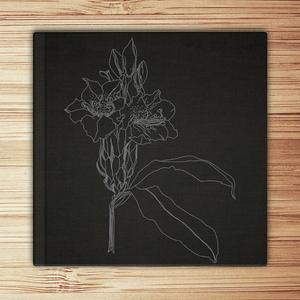 La imaginación te llevará a todas partes