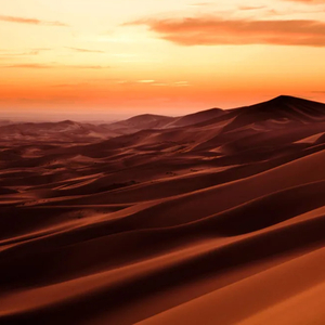 Арғымақ арман