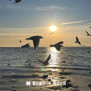 付出到头一场空