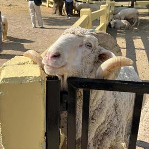 ฉันพอมีสิทธิ์ไหม