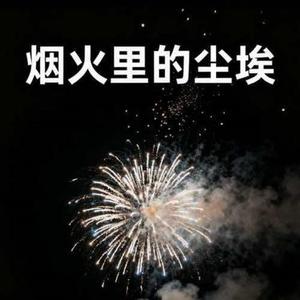 烟火里的尘埃 (Cover 赵乃吉)
