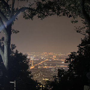 海鸥飞过向日葵.wav