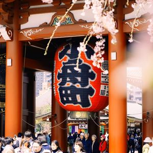 微妙的冷静下来心情