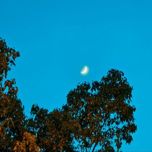 幻蝶（Prod.by Morrow x ayoley）