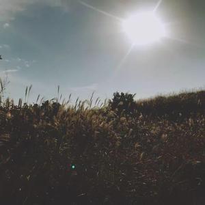 是否爱过我（翻自 张韶涵）