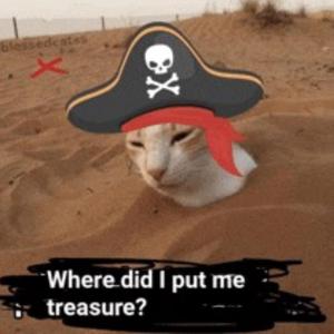 GIMBAL (modern pirate anthem)