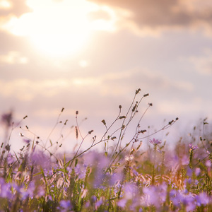 晚霞和海, 心动和你