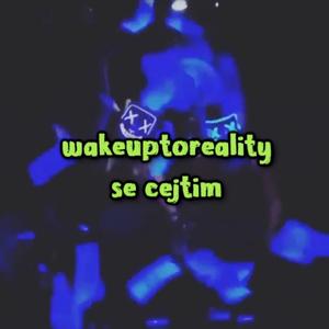 se cejtim
