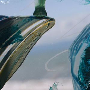 flip