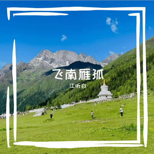 飞南雁孤