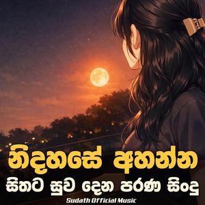 Parana Sindu (භාවනාවක් වගේ සිංදු) Sinhala Song Collection