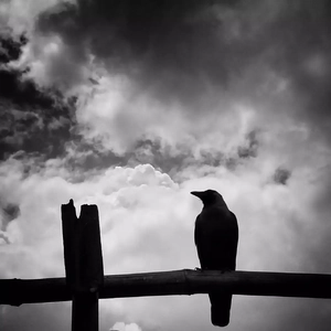 【FREE】鸦（Dark trap type beat）