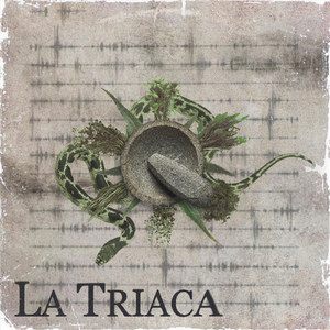 Medrana Remix