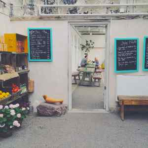 诗意的餐馆节奏