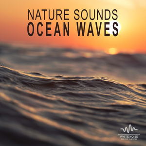 Nature Sounds: Ocean Waves, Pt. 04