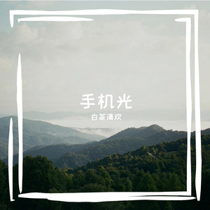 手机光