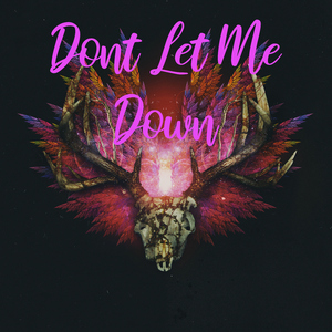 Dont Let Me Down