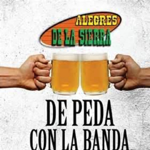 Paloma Piquito De Oro