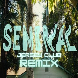Seminal (Jersey Club Remix)