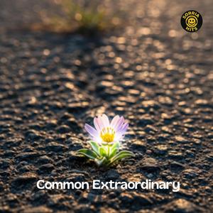 Common Extraordinary