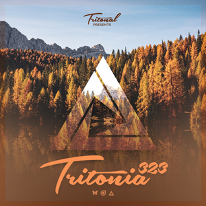 Hiding (Tritonia 323) (Original Mix)