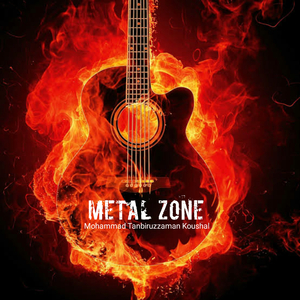 Metal ZoNe