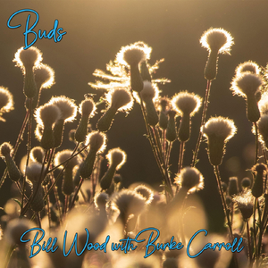 Hey There River (feat. Burke Carroll)