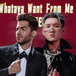 Whataya Want From Me x STRIPELIF3【Mashup】