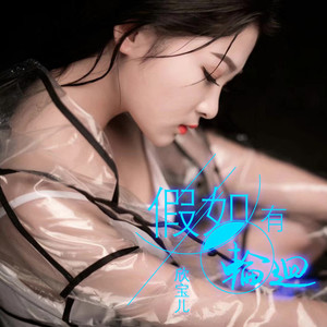 假如有轮回 (dj阿远 2019 Extended Mix伴奏)