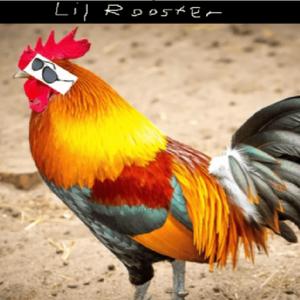 The Rooster
