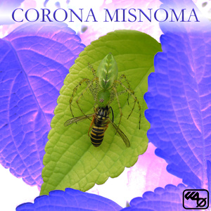 Corona Misnoma