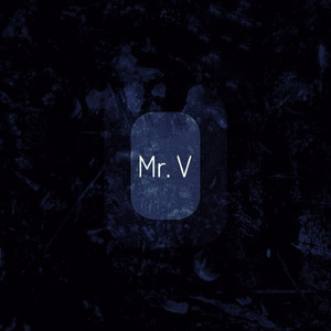 Mr. V