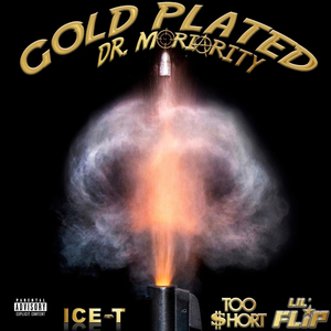 Gold Plated