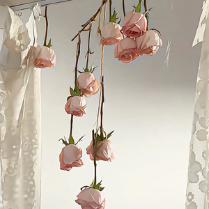 花(盛开吧开吧开吧)