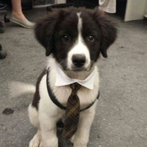 #ImSippinTeaInYoHood (slowed)