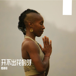 开不出花的芽