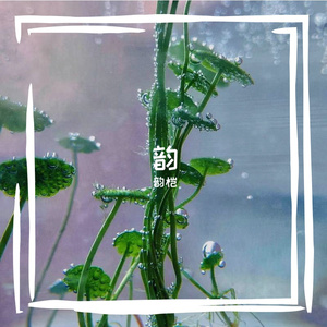 韵桤-17-（韵桤 remix）