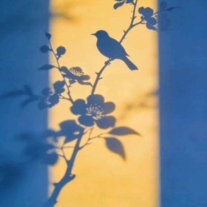 原来幸福如此简单