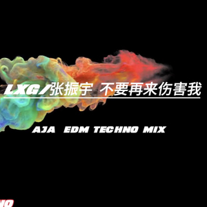 陈进兴-LXG-张振宇-不要再来伤害我(AJA-EDM TECHNO_Mix ).mp3（LXG remix）