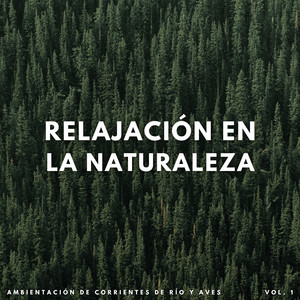Energía Eólica