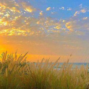 Sunshine Shore