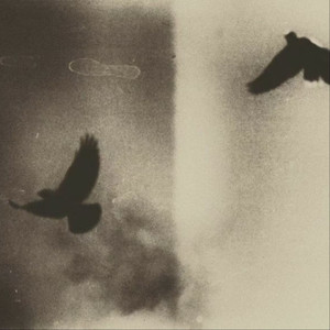 背着风流泪 文夫