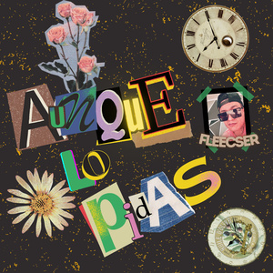 Aunque Lo Pidas
