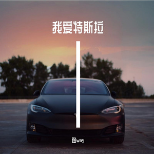 我爱特斯拉